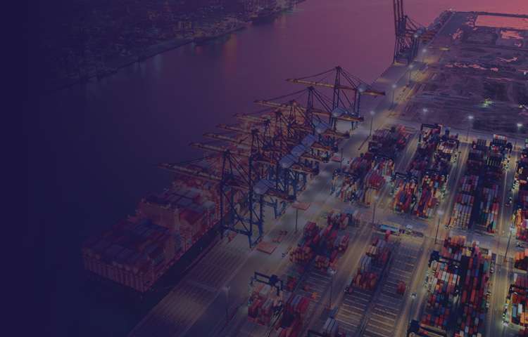 US Ports Update 2024_hero mobile.jpg