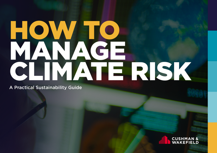 HOW TO MANAGE CLIMATE RISK.png