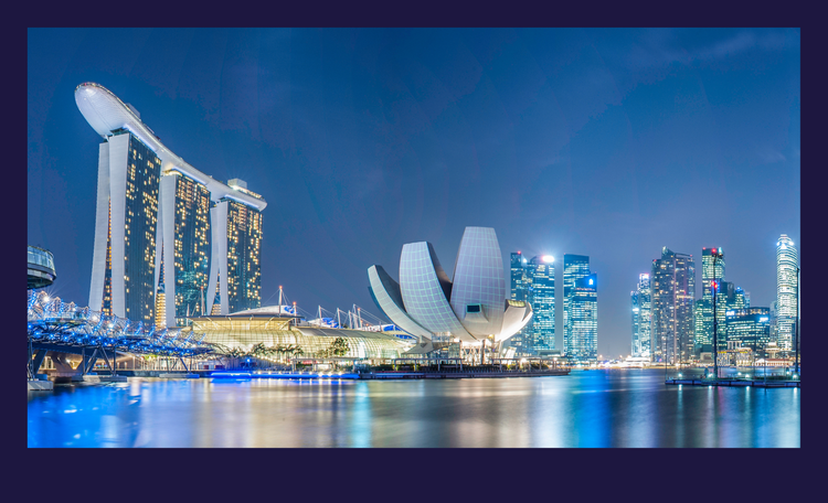 SINGAPORE OUTLOOK 2025 CARD IMAGE – 750 x 456px (No Text).png