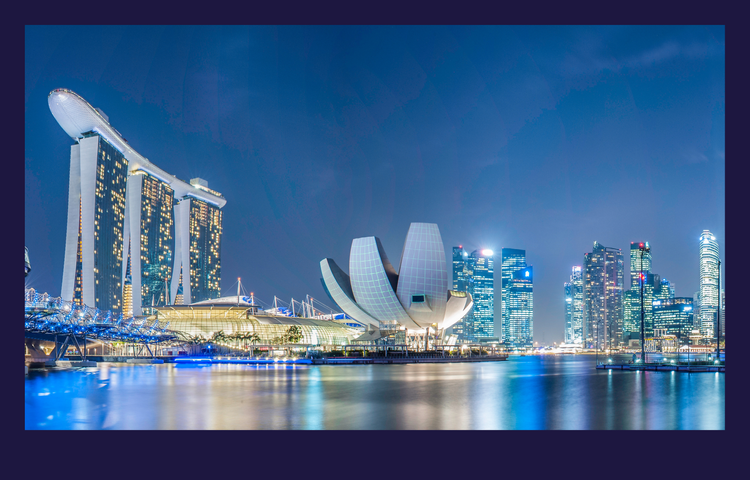 Singapore Outlook 2025 report