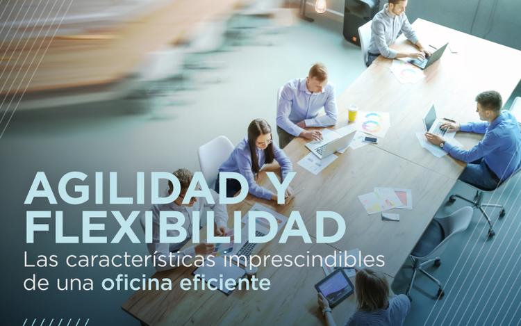 web_destacada agilidad y flexibilidad